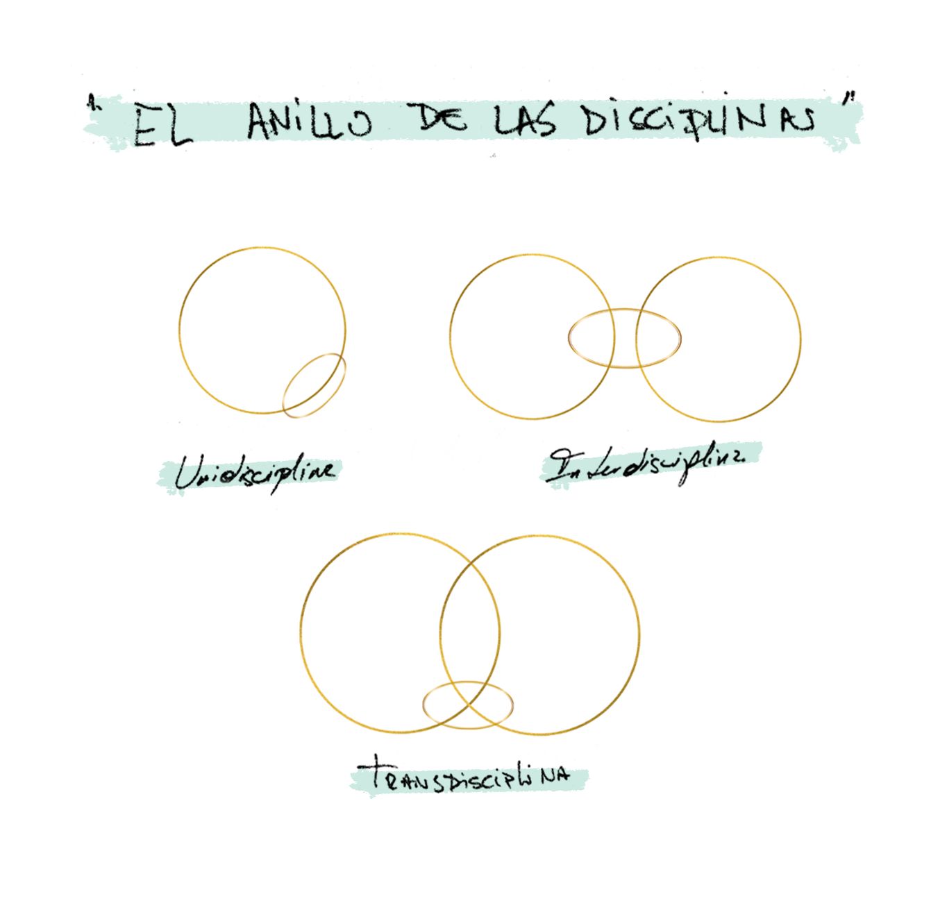 El anillo de las disciplinas: unidisciplina, interdisciplina y transdisciplina