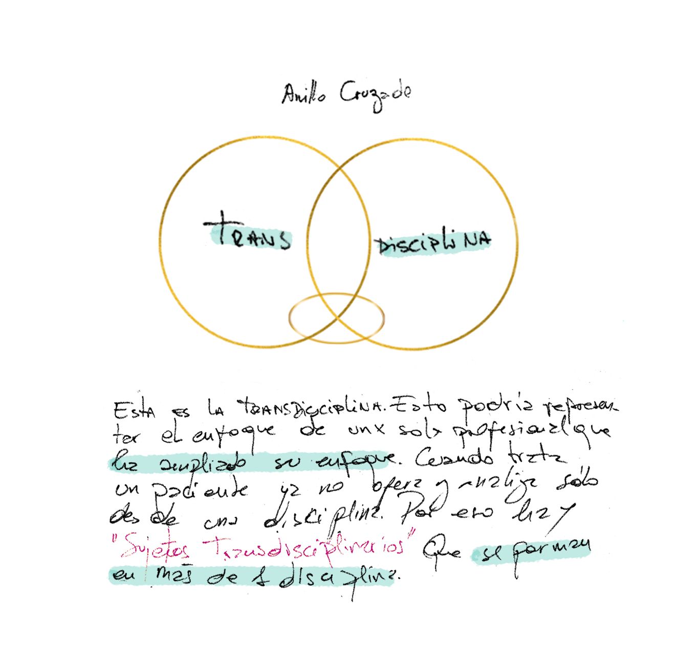 Anillos cruzados: transdisciplina